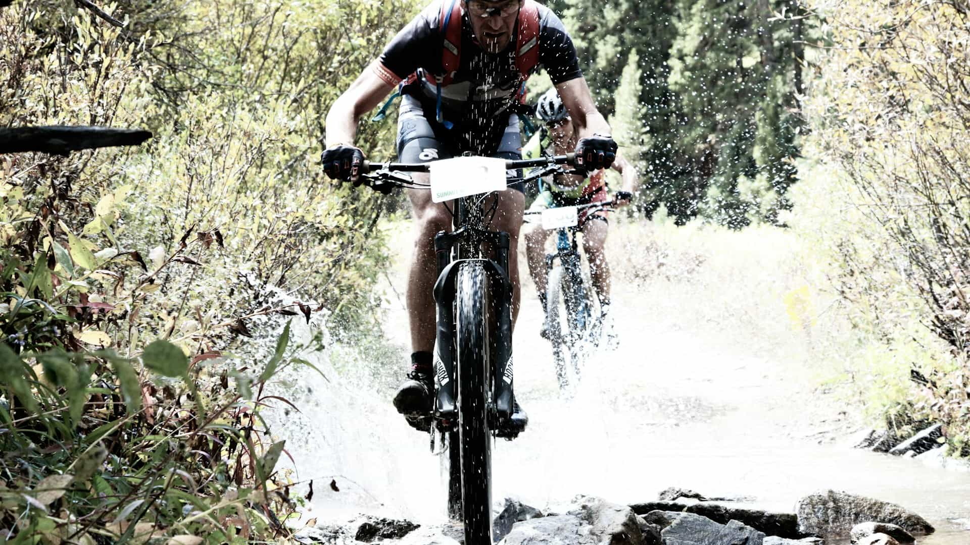 Mountain bikers riding through a forest trail